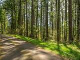 18675 Forest Park Rd - Photo 3