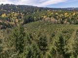 18675 Forest Park Rd - Photo 6