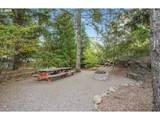 12105 High Creek Rd - Photo 36