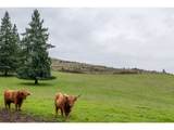 841 Skelly Rd - Photo 30