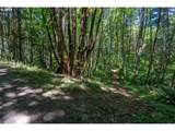 40811 Linklater Rd - Photo 40