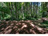 40811 Linklater Rd - Photo 41