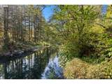 30815 Sunset Falls Rd - Photo 2