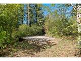 30815 Sunset Falls Rd - Photo 5