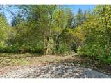 30815 Sunset Falls Rd - Photo 6