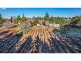 13651 Orient Dr - Photo 3