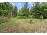  Pumpkin Ridge Rd - Photo 10
