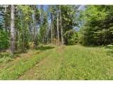  Pumpkin Ridge Rd - Photo 11