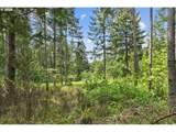  Pumpkin Ridge Rd - Photo 12