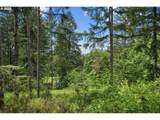  Pumpkin Ridge Rd - Photo 14