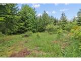  Pumpkin Ridge Rd - Photo 15
