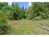  Pumpkin Ridge Rd - Photo 9