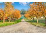 13492 Warnock Rd - Photo 33