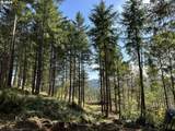 3647 Briar Knob Loop - Photo 1