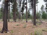 01501 Friendly Ln - Photo 11