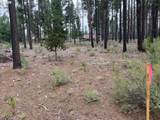 01501 Friendly Ln - Photo 12