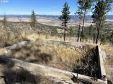 25422 Baldy Mountain Rd - Photo 8