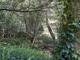 00 Coho - Photo 9