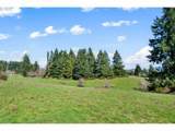 27709 Lorane Orchard Rd - Photo 14