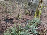 39335 Trout Creek Rd - Photo 25