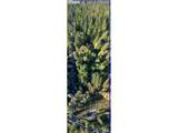39335 Trout Creek Rd - Photo 27