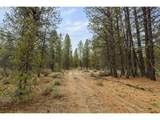  Bare Land - Photo 17