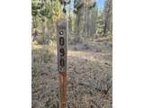  Bare Land - Photo 21