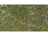  Bare Land - Photo 8
