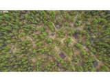  Bare Land - Photo 9