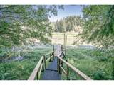 96455 Blocks Shady Ln - Photo 37