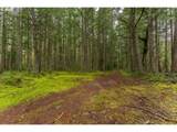  Upper Cow Creek Rd - Photo 10