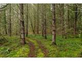  Upper Cow Creek Rd - Photo 5