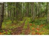  Upper Cow Creek Rd - Photo 6