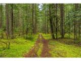  Upper Cow Creek Rd - Photo 7