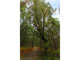  Upper Cow Creek Rd - Photo 8