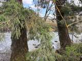 0 Old Railroad Grade Rd - Photo 5