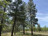 D Pine Rd - Photo 6