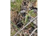  Wahkiacus Heights Rd - Photo 3