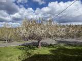 58392 Antelope Ln - Photo 35