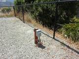 1340 Lisa Way - Photo 32