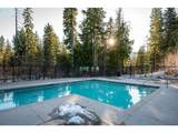 31250 Collins Lake Rd - Photo 34