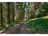 64368 Tamarack Rd - Photo 39