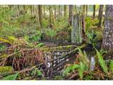  Silverwood Dr - Photo 12