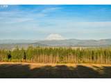  Silverwood Dr - Photo 15