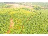  Anthony Creek Rd - Photo 10