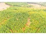 Anthony Creek Rd - Photo 11