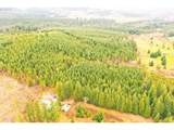  Anthony Creek Rd - Photo 4