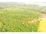  Anthony Creek Rd - Photo 8