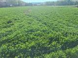 54884 Day Rd - Photo 12