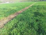 54884 Day Rd - Photo 13